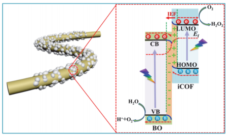 Improving Photocatalytic H2O2 Production over iCOF/Bi2O3 S-Scheme Heterojunction in Pure Water via Dual Channel Pathways.